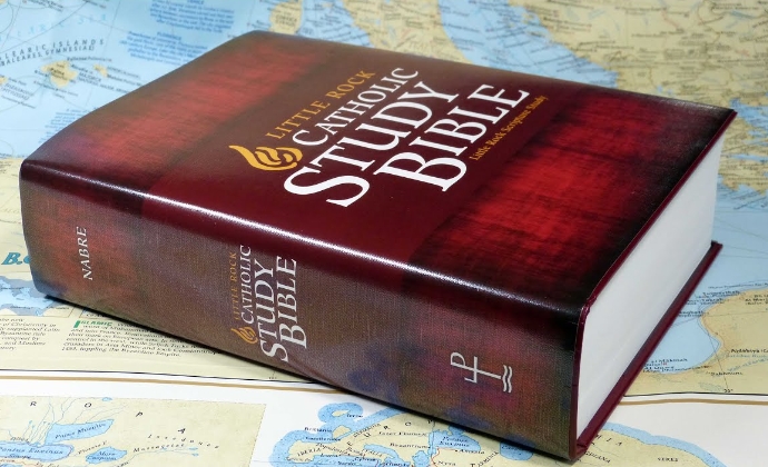 catholic study bible