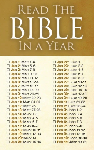 read the bible in a year plan