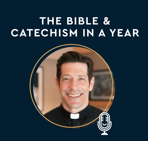 catechism in a year