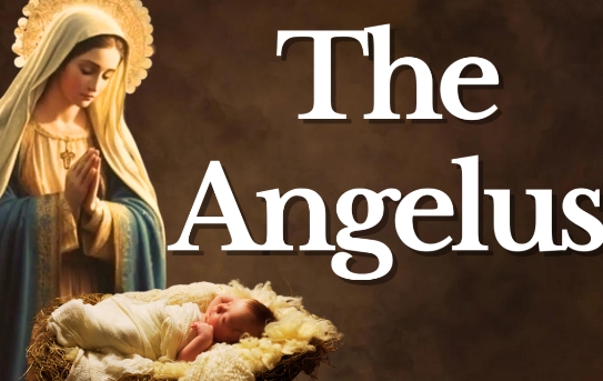 angelus prayer catholic