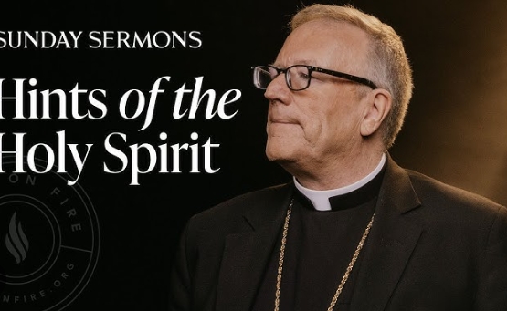 bishop barron homilies